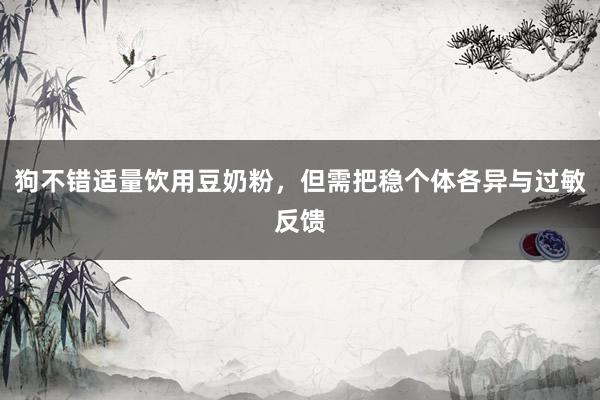 狗不错适量饮用豆奶粉，但需把稳个体各异与过敏反馈