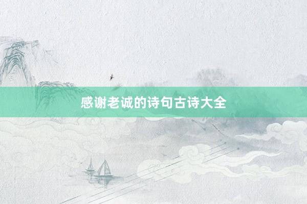 感谢老诚的诗句古诗大全