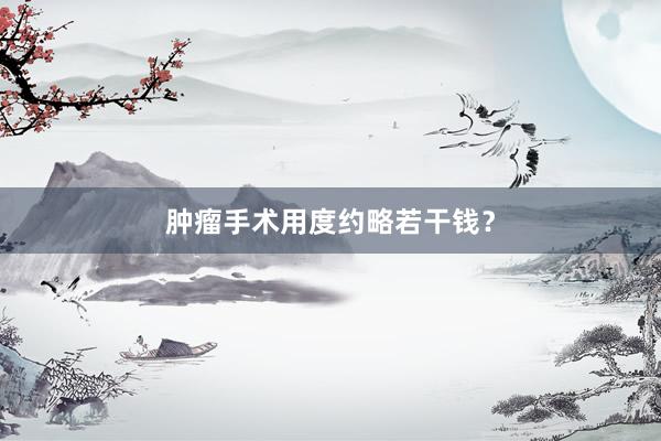 肿瘤手术用度约略若干钱？